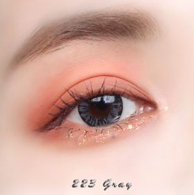 223 Gray  ( 0.00 ~ 6.00 )